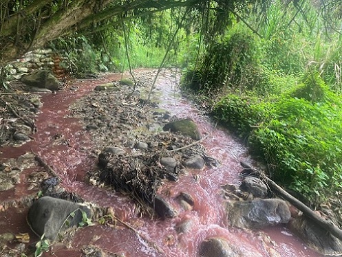 Las denuncias hechas por vecinos de la Zona Industrial en Manizales, vía a Maltería, sobre el vertimiento de sustancias que están contaminando afluentes como la quebrada Cristales, debe ser motivo suficiente para que la Secretaría de Medio Ambiente y Corpocaldas, como autoridades, investiguen, establezcan responsables y eviten más afectación. Las denuncias hechas por vecinos de la Zona Industrial en Manizales, vía a Maltería, sobre el vertimiento de sustancias que están contaminando afluentes como la quebrada Cristales, debe ser motivo suficiente para que la Secretaría de Medio Ambiente y Corpocaldas, como autoridades, investiguen, establezcan responsables y eviten más afectación.