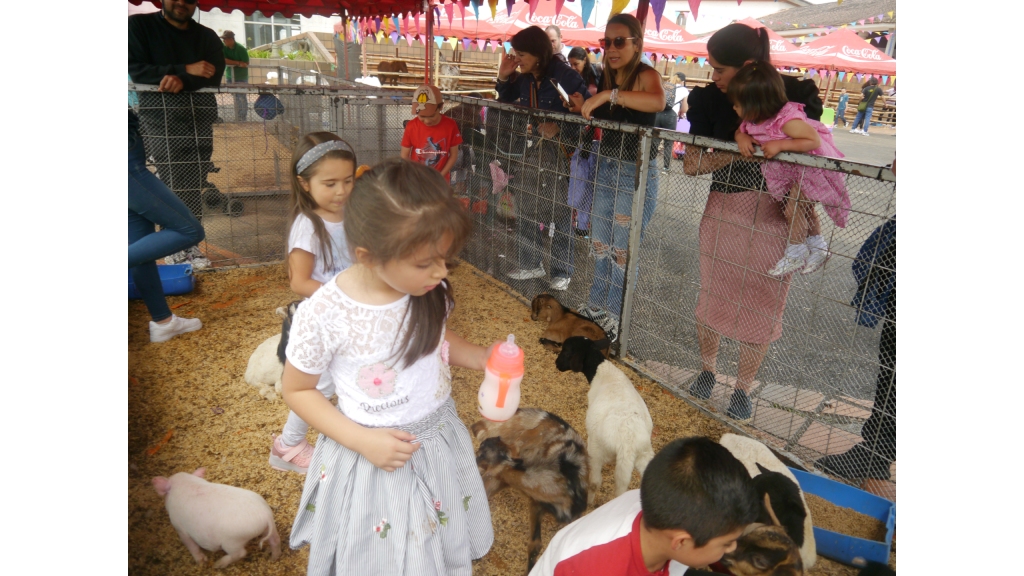 Las familias asisten a los espectáculos de magia y de exposición de animales domésticos llevadas a cabo en el Ecoparque Los Yarumos, toda esta semana, con entrada gratis. Las familias asisten a los espectáculos de magia y de exposición de animales domésticos llevadas a cabo en el Ecoparque Los Yarumos, toda esta semana, con entrada gratis.