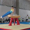 Gimnasta Santiago Gallo sueña con medalla en salto al caballete y caballo con arzones 