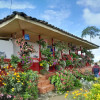 Los bellos jardines que adornan los corredores del Paisaje Cultural Cafetero.