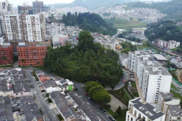 Concejo, a favor de que Camino de la Palma se vuelva reserva forestal