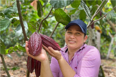Cacaotera en Europa