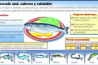 Lo que debe saber antes de consumir Omega 3