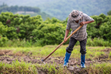 El campesino aseguró haber perdido todos sus cultivo y la casa por decisión de la inspectora.