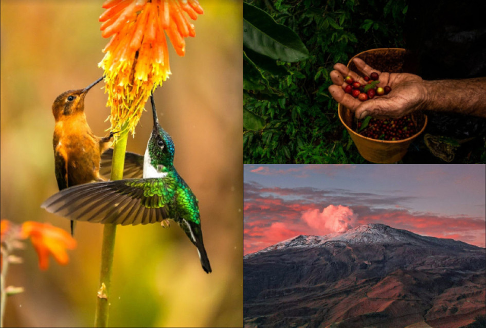 Estas son las imágenes ganadoras de las tres categorías del concurso de fotografía realizado por LA PATRIA y Gensa. concurso de fotografía realizado por LA PATRIA y Gensa