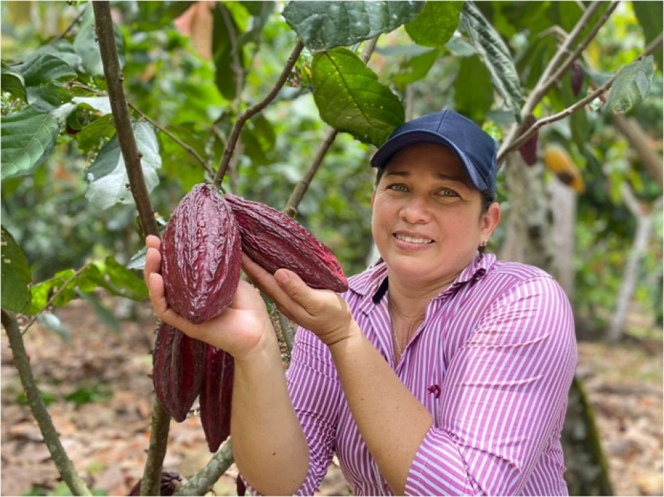 Cacaotera en Europa Cacaotera en Europa