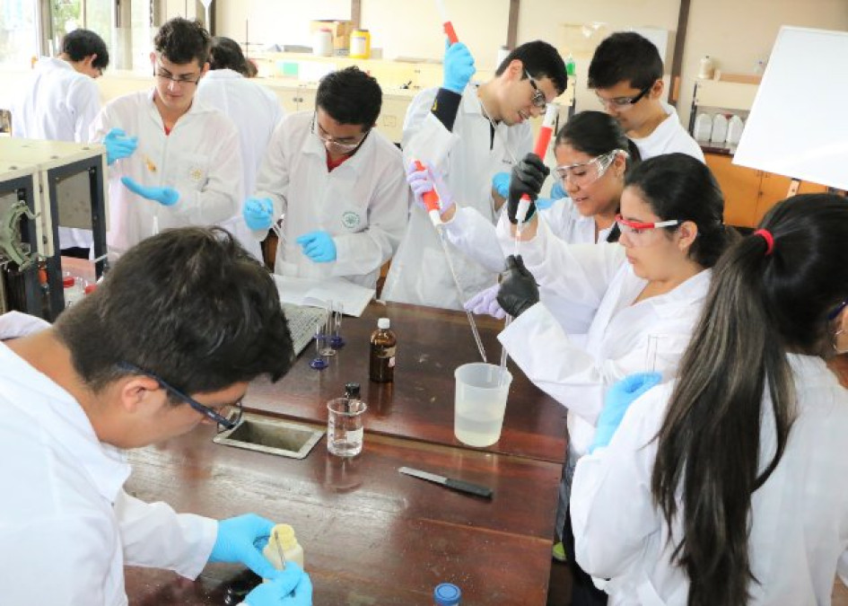 Los estudiantes investigadores pueden acceder a becas de movilidad. Los estudiantes investigadores pueden acceder a becas de movilidad.
