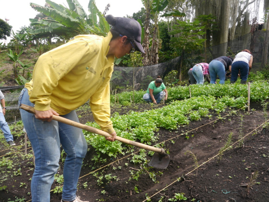 Asociación de mujeres Pétalo Verde Asociación de mujeres Pétalo Verde