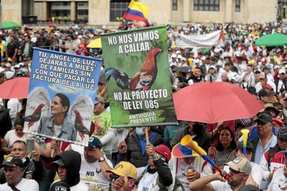 Protestan contra prohibición de peleas de gallos Protestan contra prohibición de peleas de gallos