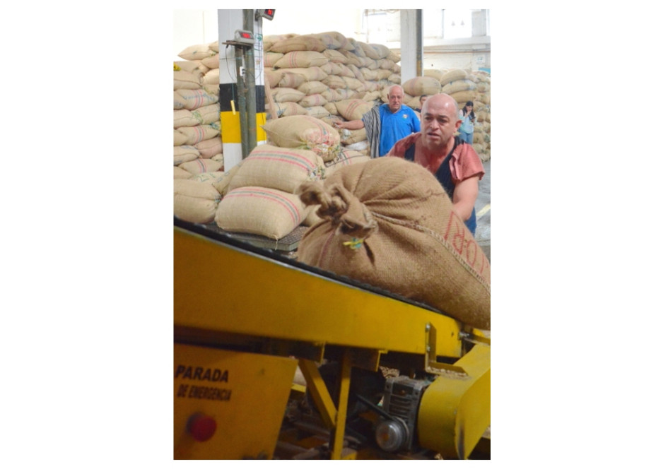Los cafeteros de Colombia esperan anuncios concretos del actual Gobierno nacional, ante los altos costos de los insumos, la baja fertilización y otra regular cosecha para el 2023. Los cafeteros de Colombia esperan anuncios concretos del actual Gobierno nacional, ante los altos costos de los insumos, la baja fertilización y otra regular cosecha para el 2023.
