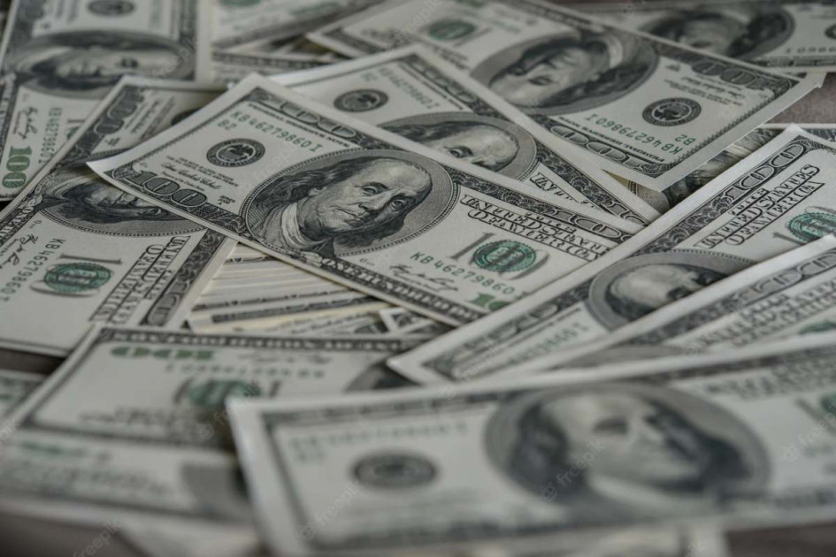 Foto | Freepick | La Patria El dolar. Foto | Freepick | La Patria El dolar.