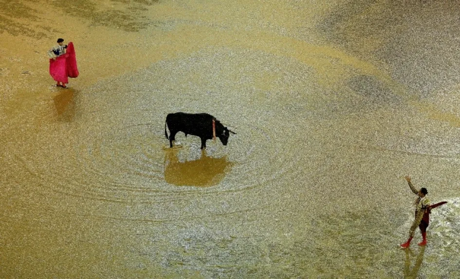 La Feria Taurina de Cali se cumplirá hasta el viernes.