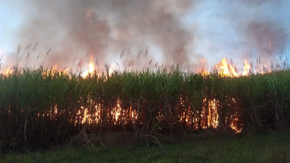 Este es uno de los dos incendios que se presentaron ayer en Viterbo. Este es uno de los dos incendios que se presentaron ayer en Viterbo.