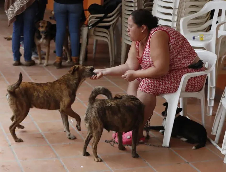 Ana Cristina Martínez juega con sus perros. Ana Cristina Martínez juega con sus perros.