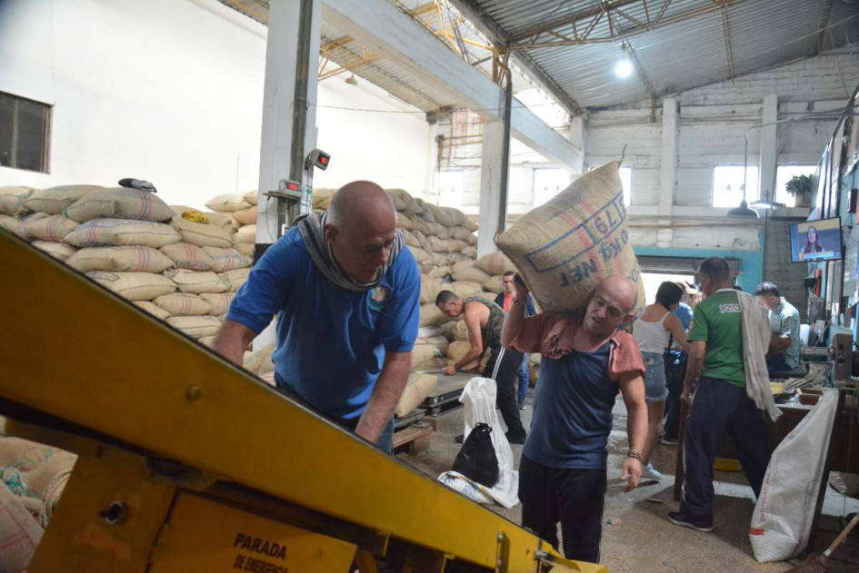 La producción de café cayó en un 24,8% frente al 2021. La producción de café cayó en un 24,8% frente al 2021.