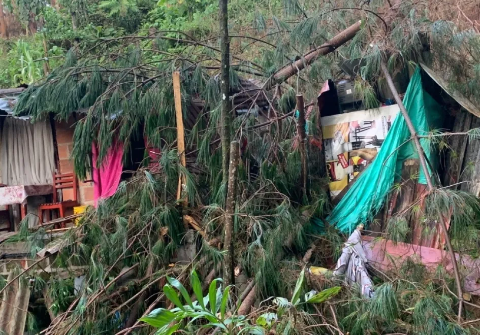 Así quedó la casa después de que le cayera un árbol encima. Así quedó la casa después de que le cayera un árbol encima.