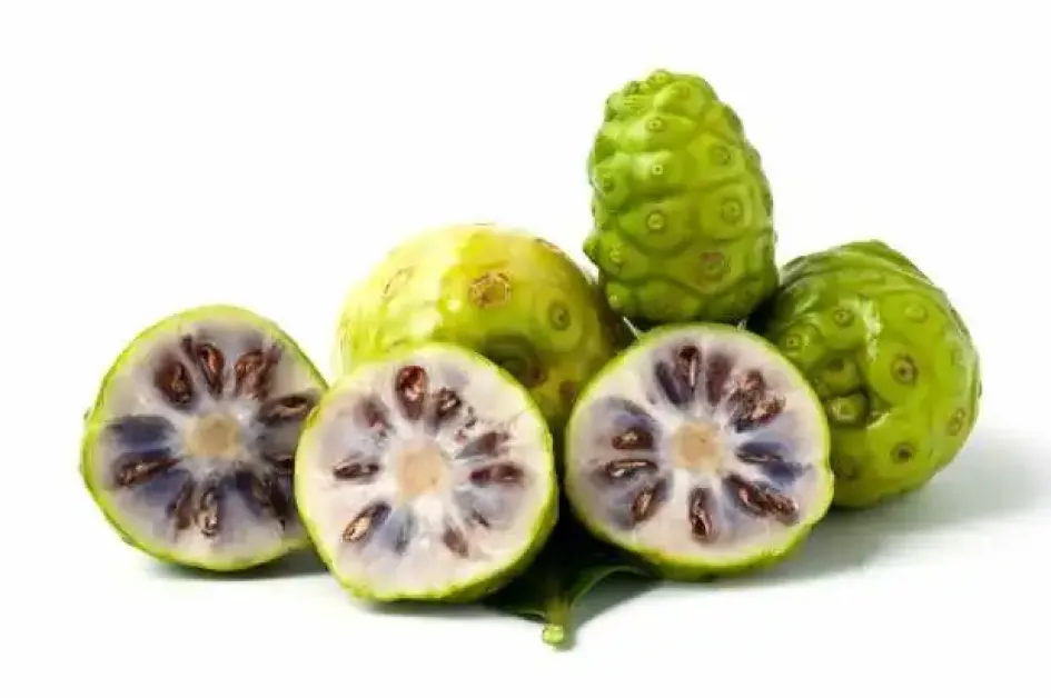 Así se ve un noni. Conozca las propiedades del noni, la fruta de la salud