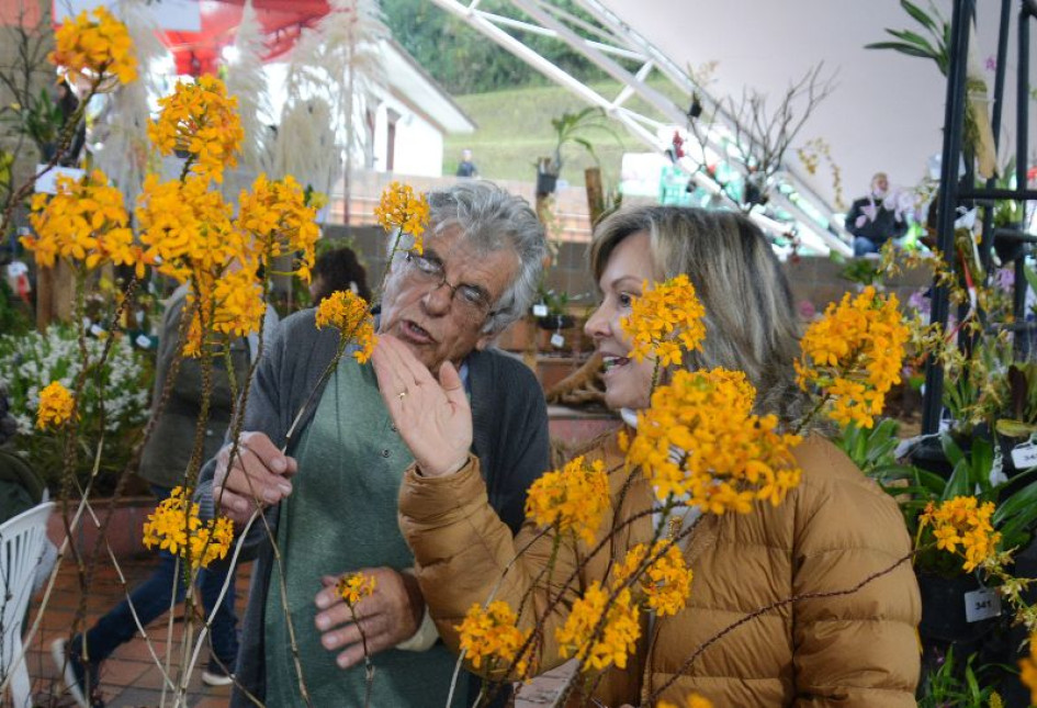 En la imagen se ve a David Manzur, miembro de la Asociación Quindiana de Orquideología y Claudia Uribe, jueza de la Sociedad Colombiana de Orquideología con la orquídea ganadora de la edición 17 de la Exposición Nacional: Epidendrum Mellinanthum. En la imagen se ve a David Manzur, miembro de la Asociación Quindiana de Orquideología y Claudia Uribe, jueza de la Sociedad Colombiana de Orquideología con la orquídea ganadora de la edición 17 de la Exposición Nacional: Epidendrum Mellinanthum.