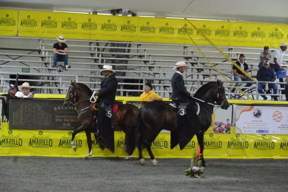 Los visitantes podían encontrar en el centro de eventos puntos de venta de comida y de artículos para los aficionados a los caballos.