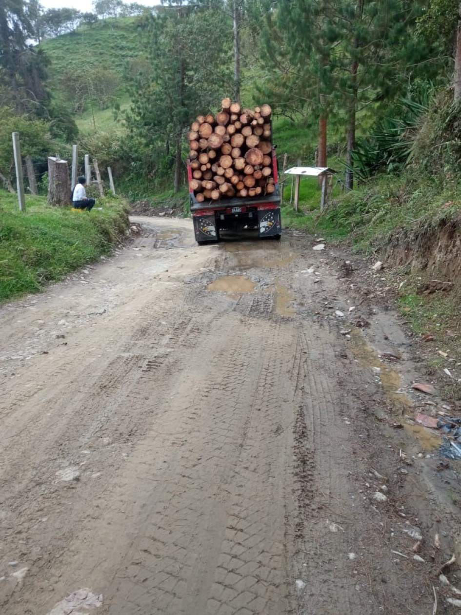 Por la vía transitan vehículos cargados de madera, motociclistas y chivas que van y vienen de los corregimientos Arboleda y Pueblo Nuevo. No han ampliado, ni puesto el afirmado. La obra está cruda. Por la vía transitan vehículos cargados de madera, motociclistas y chivas que van y vienen de los corregimientos Arboleda y Pueblo Nuevo. No han ampliado, ni puesto el afirmado. La obra está cruda.