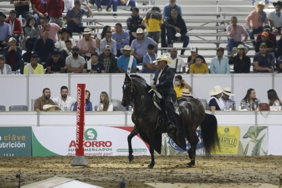 Los manizaleños podrán admirar 350 caballos de paso fino provenientes de Antioquia, Valle, Cundinamarca, Ibagué y el Eje Cafetero en la 66 Feria equina grado A que se realizará este puente festivo en Expoferias. Los manizaleños podrán admirar 350 caballos de paso fino provenientes de Antioquia, Valle, Cundinamarca, Ibagué y el Eje Cafetero en la 66 Feria equina grado A que se realizará este puente festivo en Expoferias.