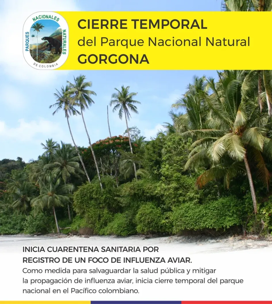 El anuncio de Parques Nacionales Naturales sobre el cierre temporal de Gorgona. El anuncio de Parques Nacionales Naturales sobre el cierre temporal de Gorgona.