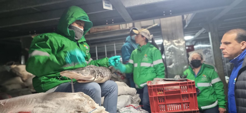 El pescado debe estar fresco y en óptimas condiciones para el consumo humano para poderse vender. El pescado debe estar fresco y en óptimas condiciones para el consumo humano para poderse vender.