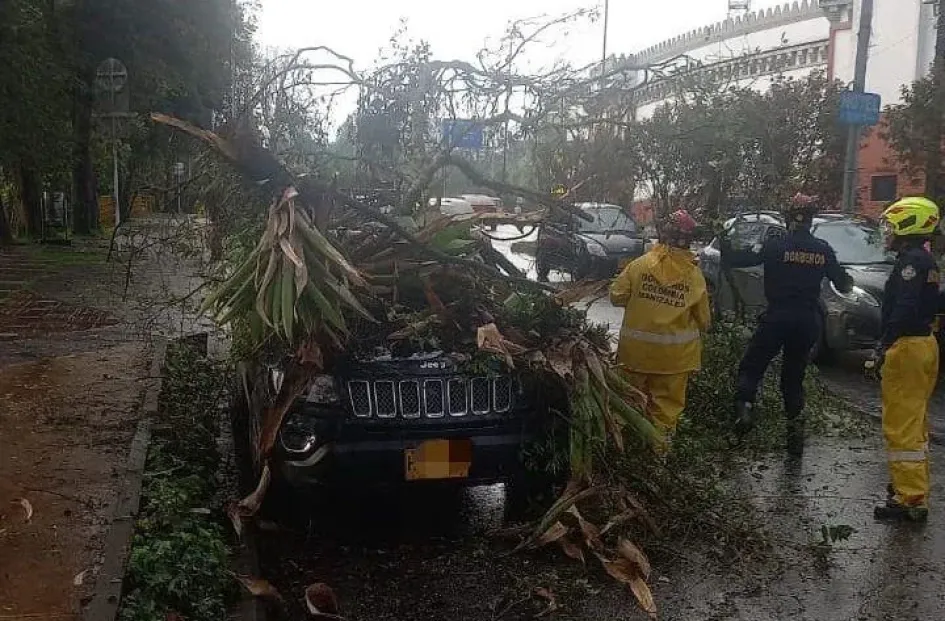 El sábado, un árbol cayó sobre un vehículo estacionado sobre la avenida Centenario, cerca de la Plaza de Toros. El sábado, un árbol cayó sobre un vehículo estacionado sobre la avenida Centenario, cerca de la Plaza de Toros.