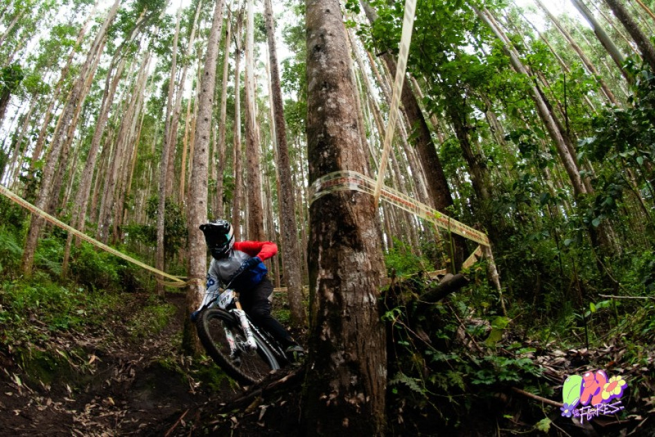 DH de Las Flores en Manizales