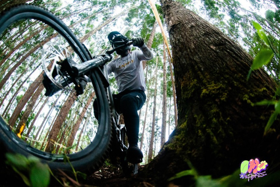 Down Hill de las Flores