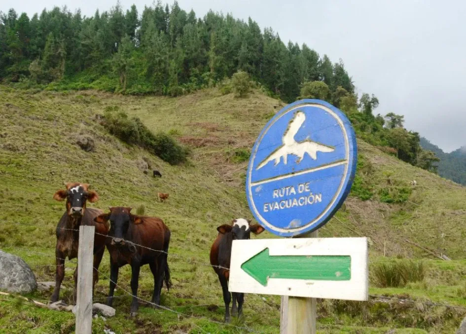 Sector ganadero, cerca del Nevado del Ruiz