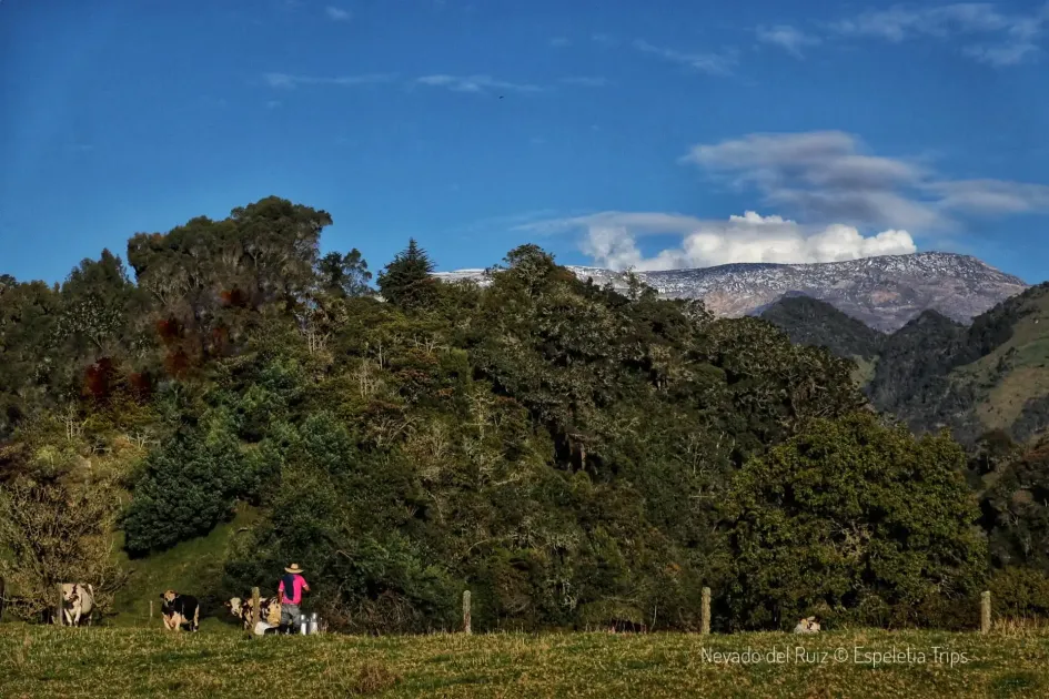 Alcaldes del Tolima en zona de influencia del Ruiz lanzan S.O.S al Gobierno nacional Alcaldes del Tolima en zona de influencia del Ruiz lanzan S.O.S al Gobierno nacional