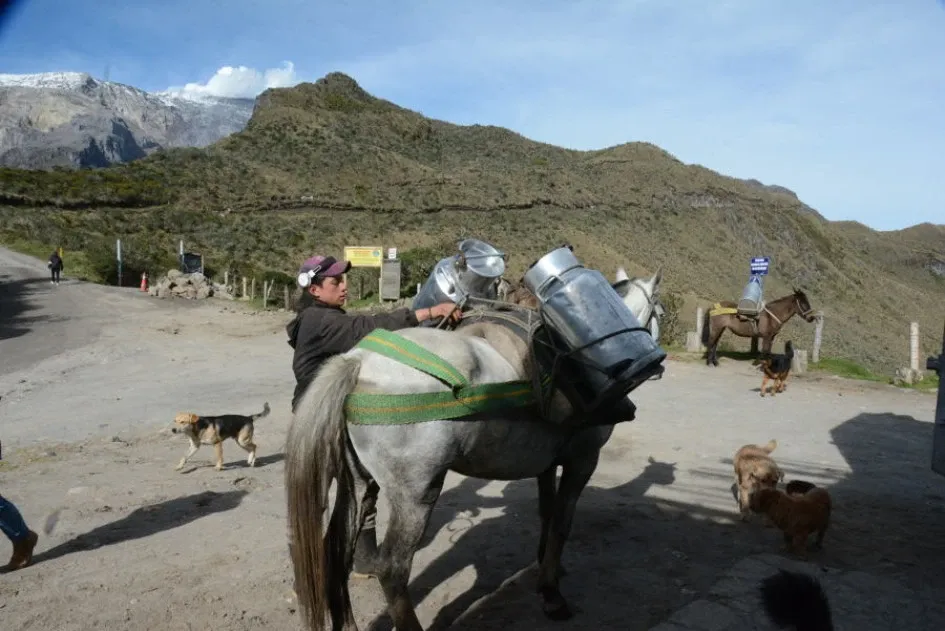 Braian se dispone a bajar las cantinas de leche para subirlas al camión del lechero. Al fondo el volcán Nevado del Ruiz. Vereda Aguas Calientes, Casabianca (Tolima)