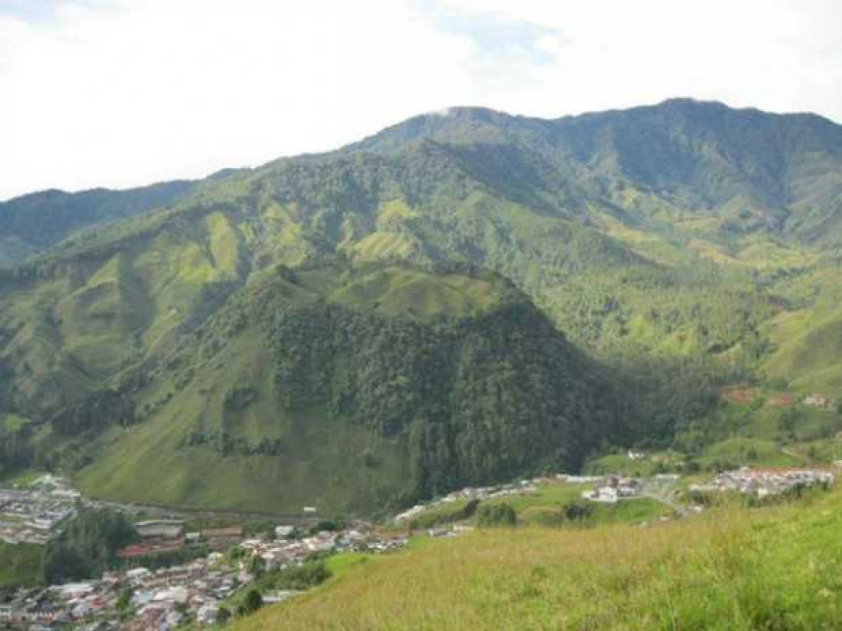 Reportan homicidio en vereda de Pensilvania Reportan homicidio en vereda de Pensilvania