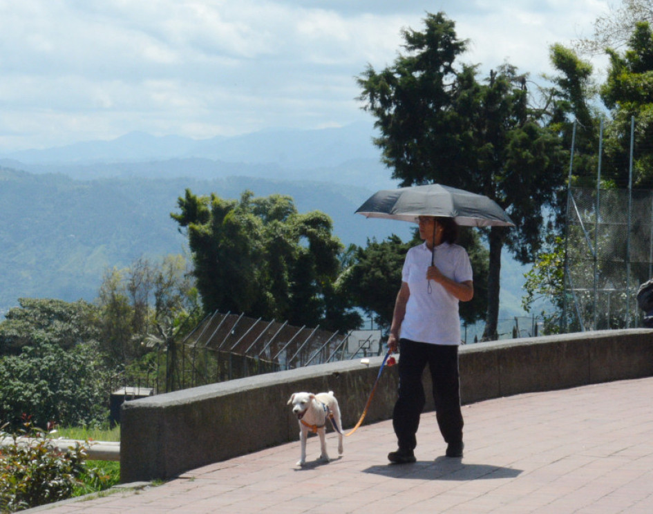 El uso de una sombrilla podría protegerlo en esas salidas inevitables con el perro. Evite caminatas extensas.