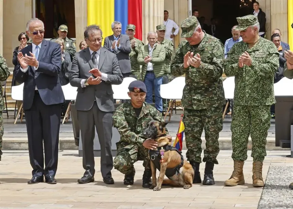 El presidente de Colombia, Gustavo Petro, (2-i) condecora a Drugia, la mamá de Wilson, el perro que ayudó al rescate de los niños indígenas que estuvieron perdidos en la selva durante 40 días y que durante el operativo se perdió. El acto se cumplió en el Palacio de Nariño, en Bogotá. El presidente de Colombia, Gustavo Petro, (2-i) condecora a Drugia, la mamá de Wilson, el perro que ayudó al rescate de los niños indígenas que estuvieron perdidos en la selva durante 40 días y que durante el operativo se perdió. El acto se cumplió en el Palacio de Nariño, en Bogotá.