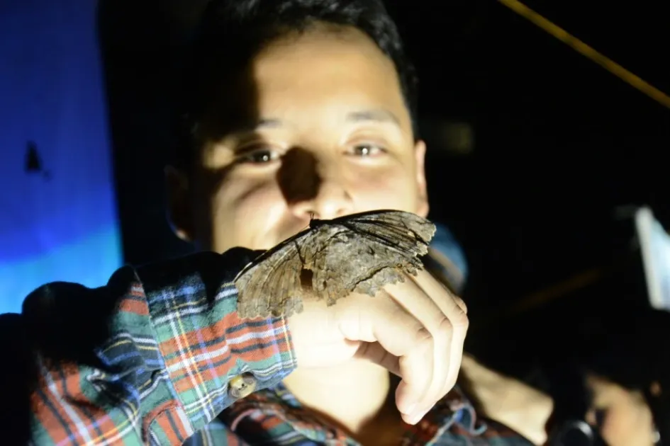 Cristian Valencia, de 25 años, aprovechó la actividad Polillas en la ciudad, organizada por Lepidoptera Colombiana en el Monumento a los Colonizadores, para conocer más sobre las mariposas nocturnas y dejar los mitos sobre su presencia. Cristian Valencia, de 25 años, aprovechó la actividad Polillas en la ciudad, organizada por Lepidoptera Colombiana en el Monumento a los Colonizadores, para conocer más sobre las mariposas nocturnas y dejar los mitos sobre su presencia.