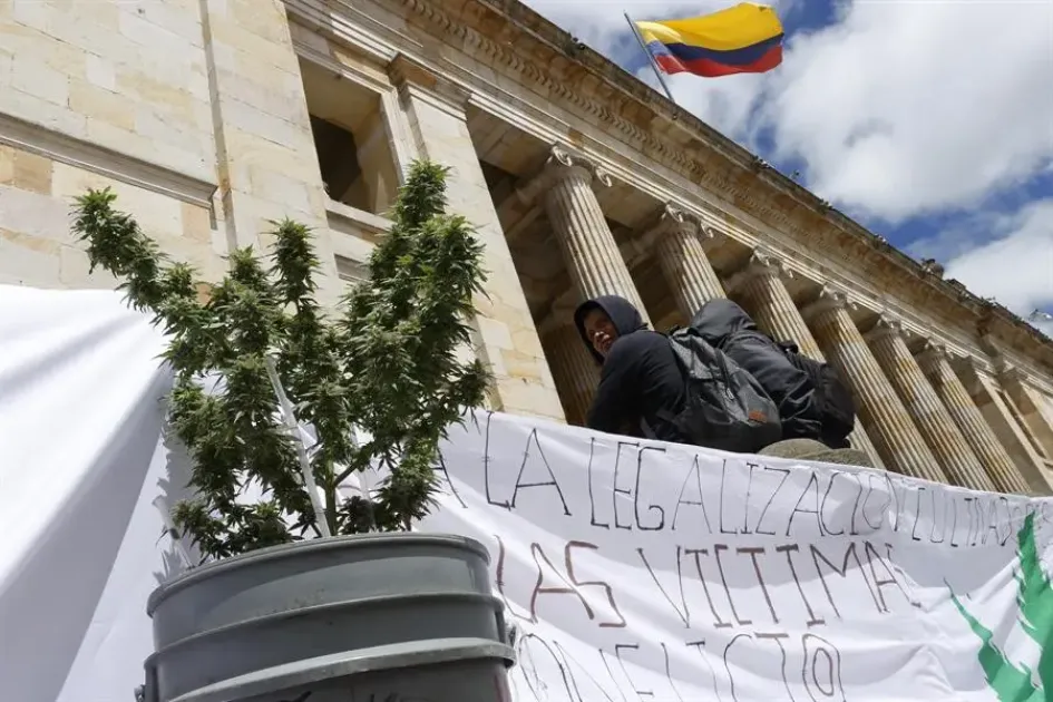 Legalización del cannabis de uso recreativo se quedó sin los votos necesarios en el Senado Legalización del cannabis de uso recreativo se quedó sin los votos necesarios en el Senado