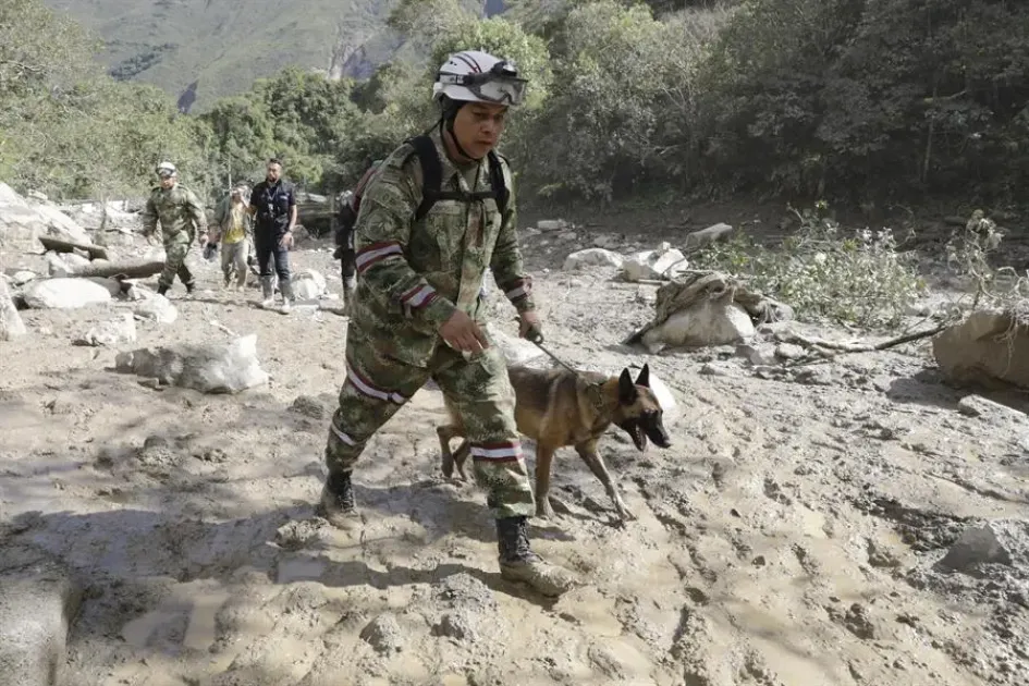 Un integrante del Ejército de Colombia busca sobrevivientes con un perro de rescate, en el sitio de una avalancha en Quetame (Cundinamarca). Un integrante del Ejército de Colombia busca sobrevivientes con un perro de rescate, en el sitio de una avalancha en Quetame (Cundinamarca).