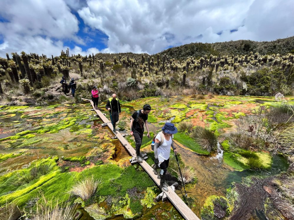 El río de los Siete Colores es uno de los atractivos que tiene el Parque Nacional Natural (PNN) Los Nevados, cerca del volcán Nevado del Ruiz. Desde el pasado jueves, después de cuatro meses, el Parque abrió sus puertas al público. Los turistas podrán visitar esta ruta y disfrutar de los paisajes y actividades dentro del Parque y cerca del Nevado. El río de los Siete Colores es uno de los atractivos que tiene el Parque Nacional Natural (PNN) Los Nevados, cerca del volcán Nevado del Ruiz. Desde el pasado jueves, después de cuatro meses, el Parque abrió sus puertas al público. Los turistas podrán visitar esta ruta y disfrutar de los paisajes y actividades dentro del Parque y cerca del Nevado.