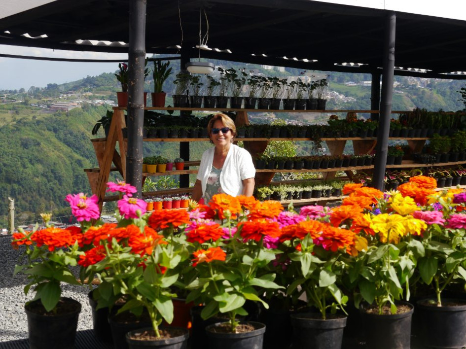 Cecilia Osorio emprendió desde hace siete años un negocio familiar al que llamó Planta Colombia. Hoy ensambla materos de cemento que distribuye en los mercados del Eje Cafetero y de Antioquia. Cecilia Osorio emprendió desde hace siete años un negocio familiar al que llamó Planta Colombia. Hoy ensambla materos de cemento que distribuye en los mercados del Eje Cafetero y de Antioquia.