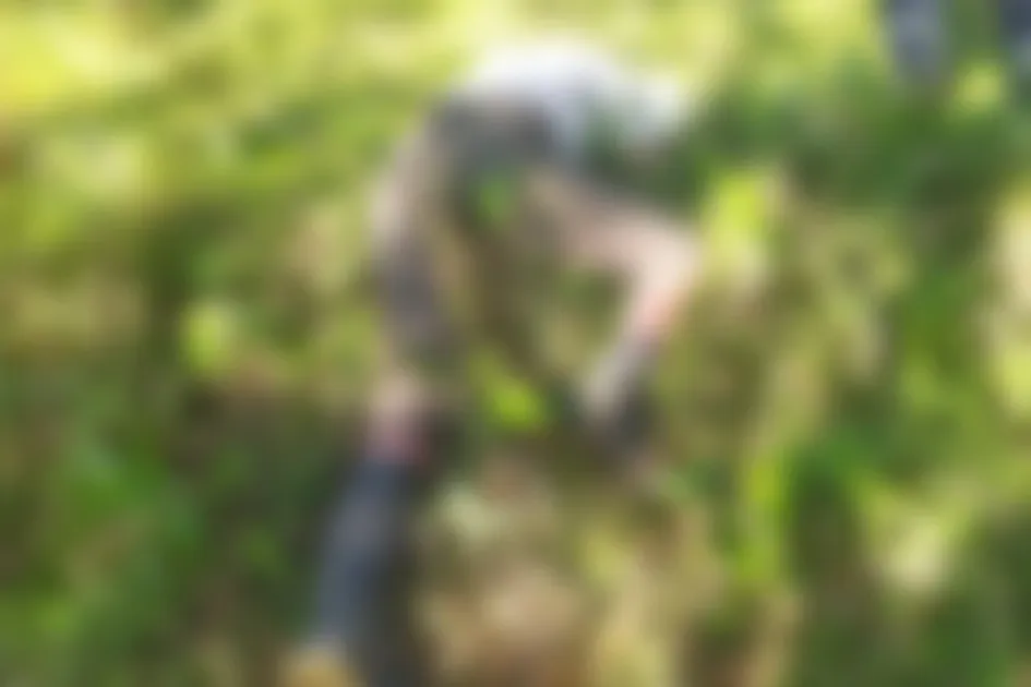 Murió tras ser atacado por abejas en Marquetalia