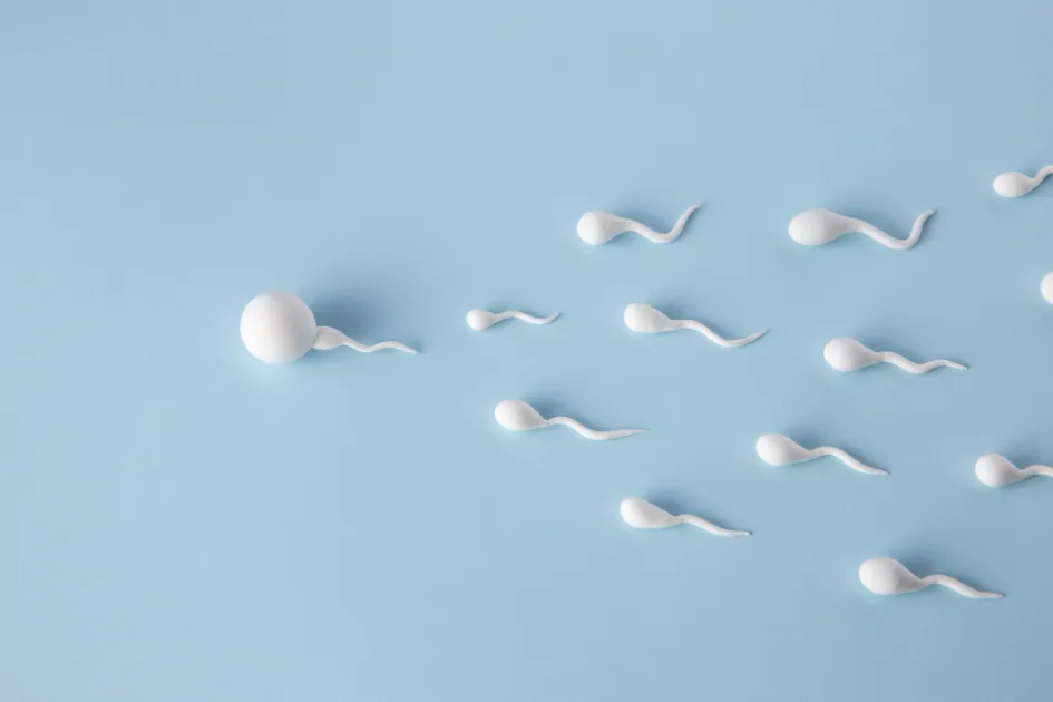 Un donante de esperma estadounidense busca a sus 96 hijos biológicos Un donante de esperma estadounidense busca a sus 96 hijos biológicos