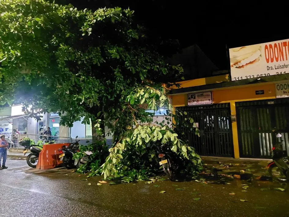 Caída de árboles por fuerte aguacero en La Dorada. 