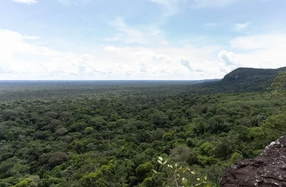 En mayo de este año se anunció un aporte del Reino Unido de 13 millones de libras esterlinas para combatir la deforestación en la Amazonía colombiana. En mayo de este año se anunció un aporte del Reino Unido de 13 millones de libras esterlinas para combatir la deforestación en la Amazonía colombiana.