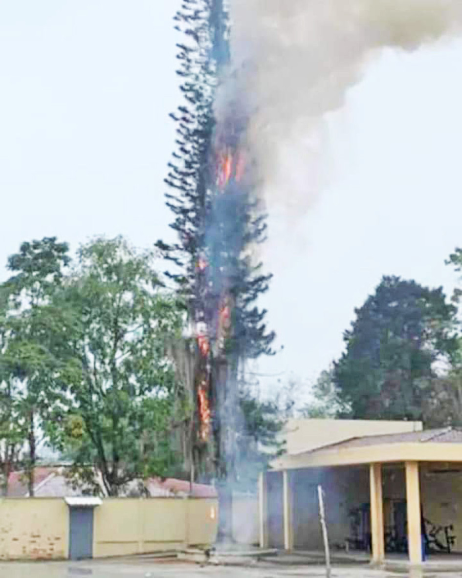 El jueves un rayo impactó contra un árbol ubicado al lado del Colegio Tecnológico Industrial de Santa Rosa de Cabal (Risaralda).