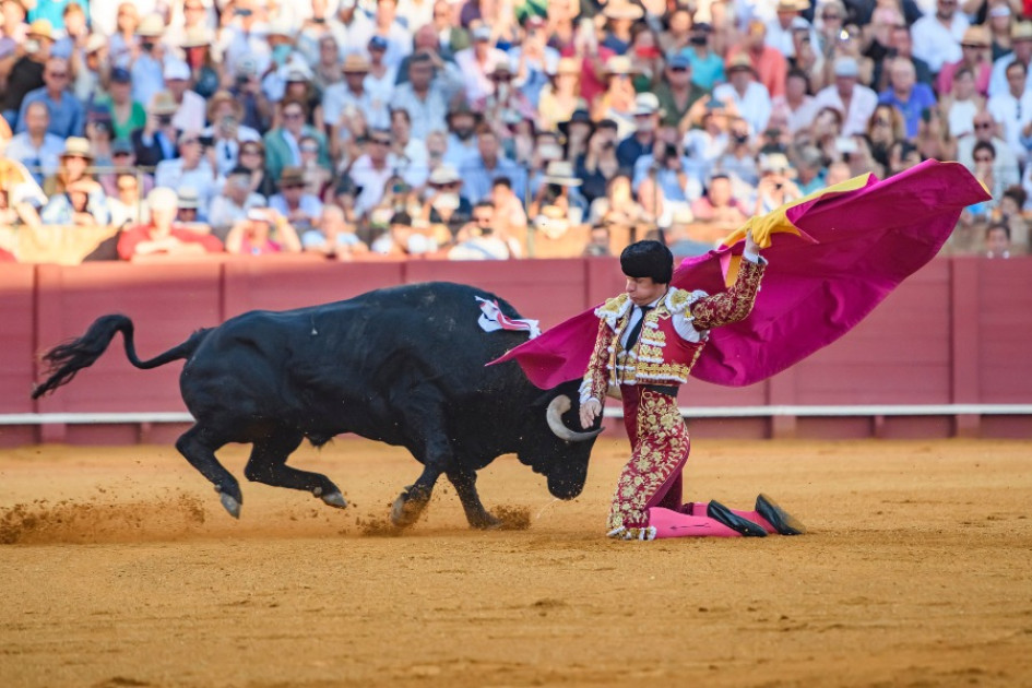 El diestro madrileño Julián López 'El Juli' El diestro madrileño Julián López 'El Juli'