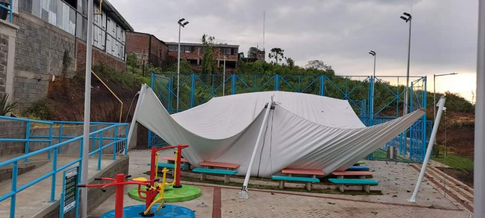 Sacudido por el vendaval Sacudido por el vendaval