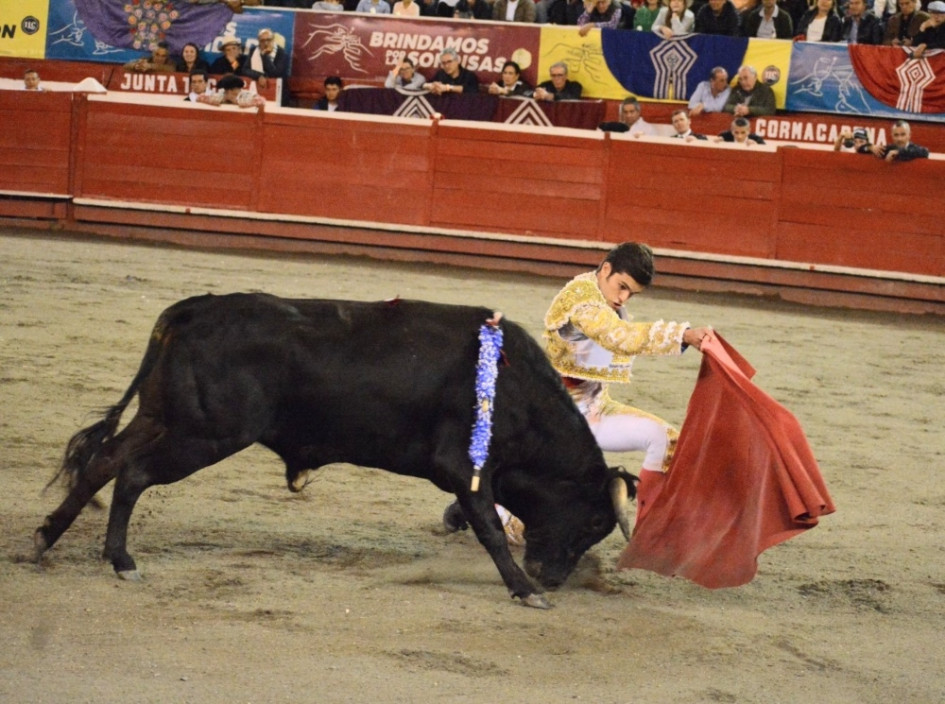 Simón Hoyos, novillero manizaleño, en un forzado de pecho con rodilla a tierra en la novillada sin picadores de la XXIV Temporada de Toros y Ciudad que se desarrolla durante este fin de semana en la Plaza de Toros de Manizales. Simón Hoyos, novillero manizaleño, en un forzado de pecho con rodilla a tierra en la novillada sin picadores de la XXIV Temporada de Toros y Ciudad que se desarrolla durante este fin de semana en la Plaza de Toros de Manizales.
