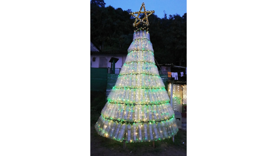 El árbol de botellas reposa en una pequeña elevación natural del sector. Gastaron en este, 380 botellas plásticas de gaseosa. Se demoraron unos ocho días en su elaboración. Las botellas fueron recogidas por los mismos vecinos. Tiene cerca de 2 mil 100 bombillos. El árbol de botellas reposa en una pequeña elevación natural del sector. Gastaron en este, 380 botellas plásticas de gaseosa. Se demoraron unos ocho días en su elaboración. Las botellas fueron recogidas por los mismos vecinos. Tiene cerca de 2 mil 100 bombillos.